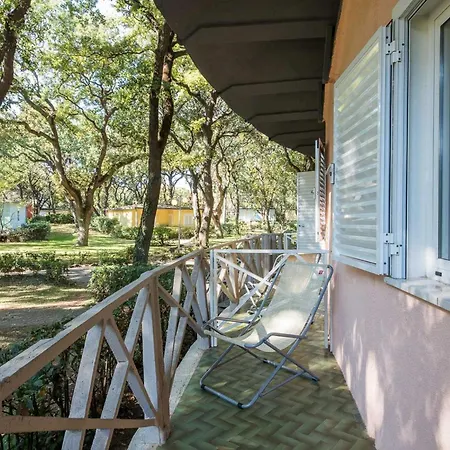 Hotel Riva Degli Etruschi 4*